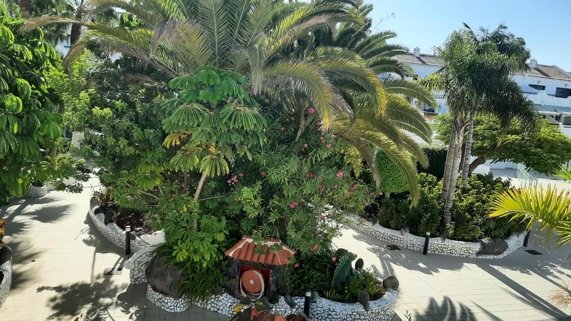 Blue Bay Paradise - Beach Front Apartment With Sea View Playa Paraiso  Exteriér fotografie